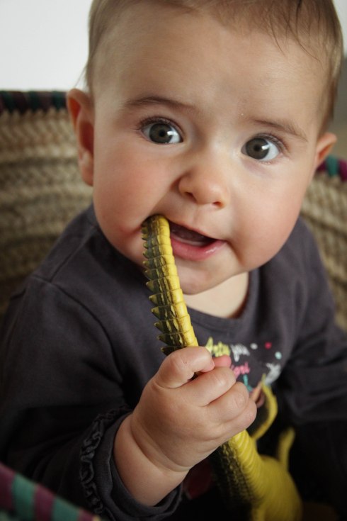 amaya sailing her basket catching allegators-5