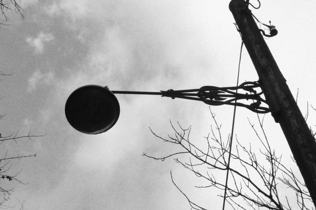 branch in bulb (2 of 1)