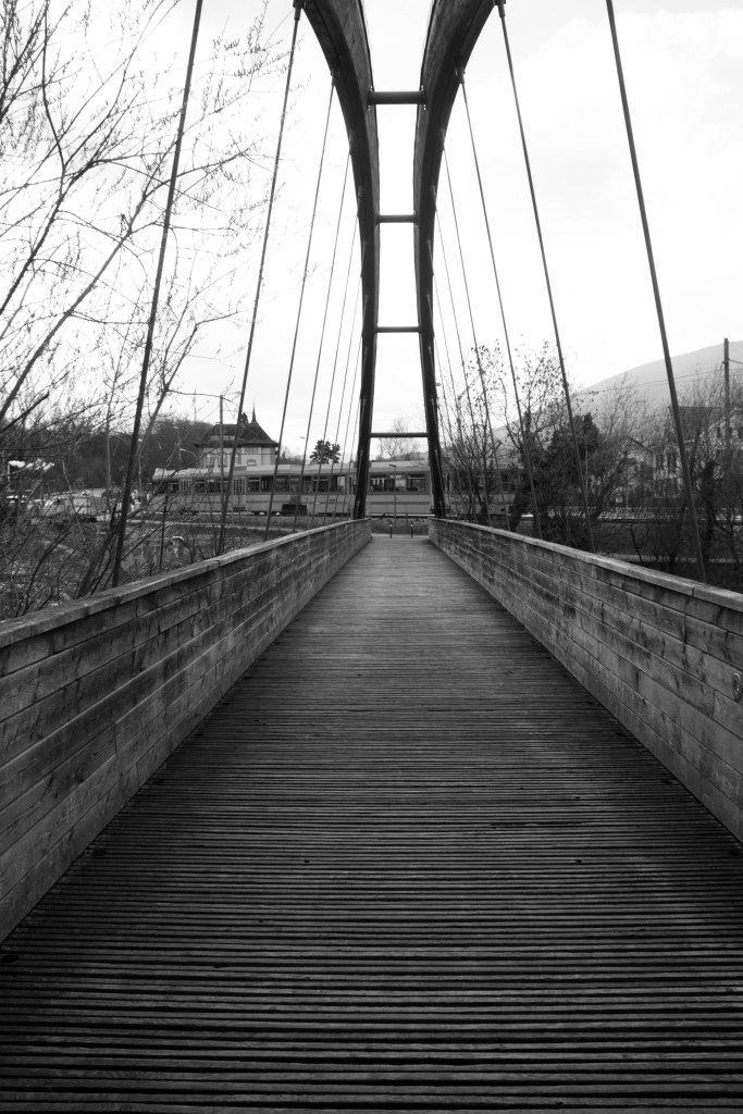 bridge in the slybw (1 of 1) - Copy