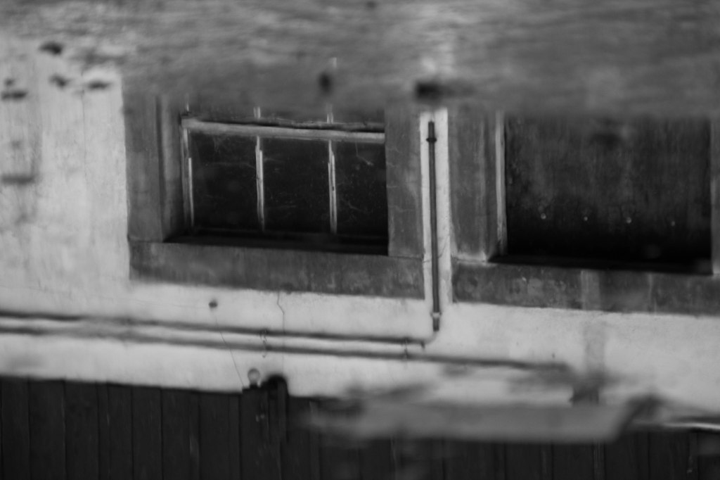 travers in water (1 of 1)