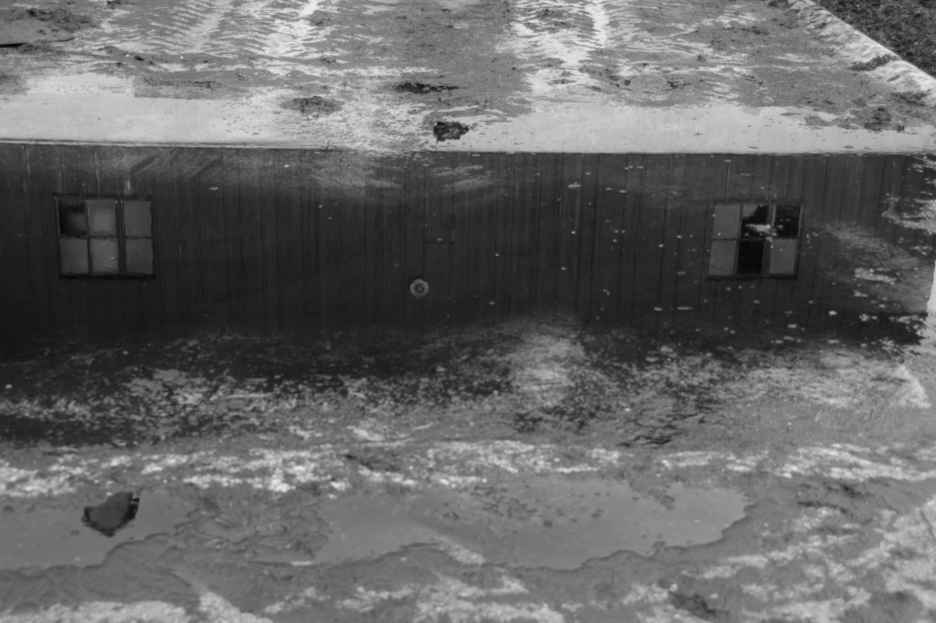 travers in water (2 of 1)