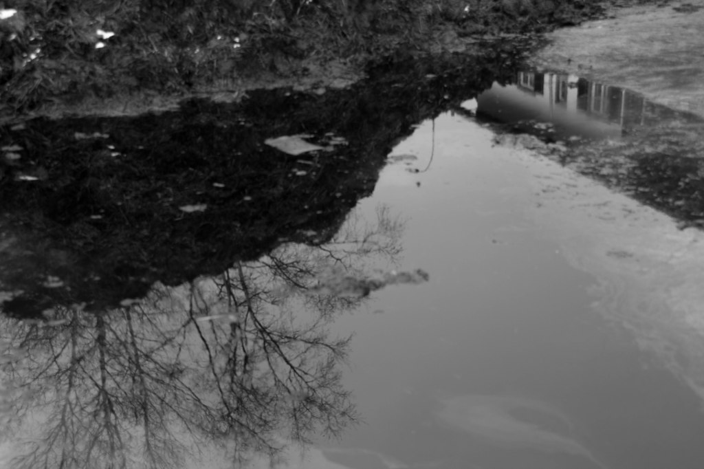 travers in water (3 of 1)