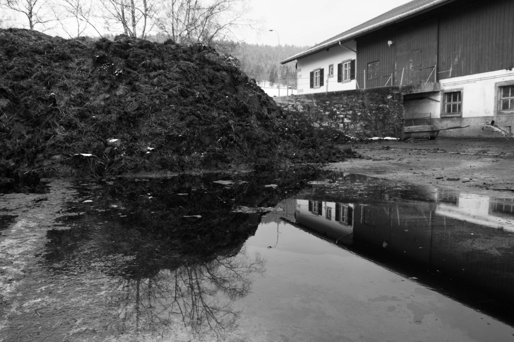 travers in water (4 of 1)