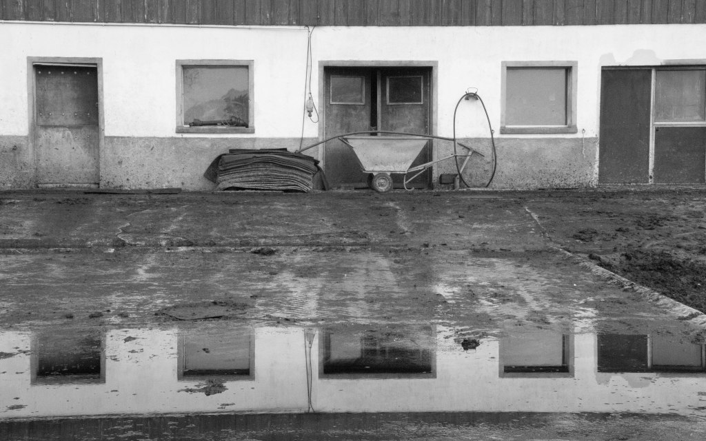 travers in water (5 of 1)