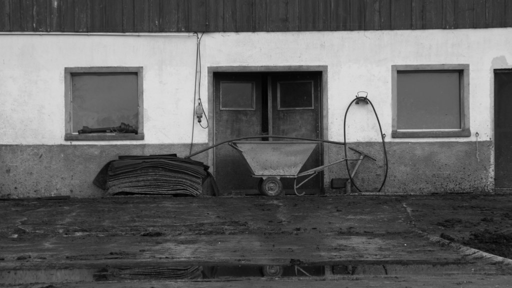 travers in water (6 of 1)