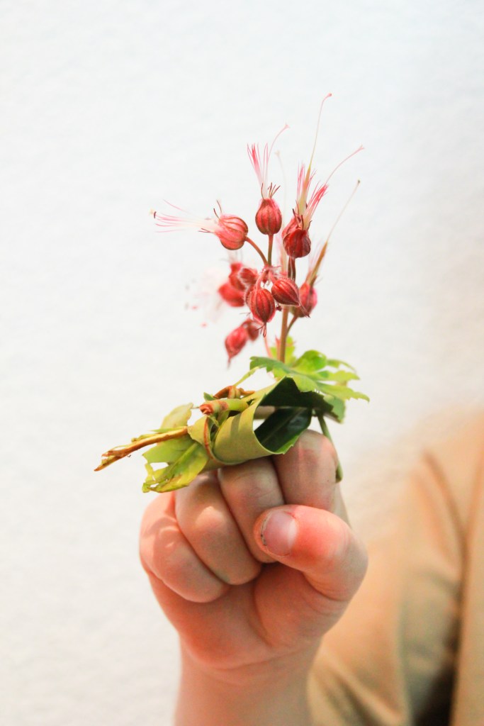 garden ring jp made foe me (1 of 1)