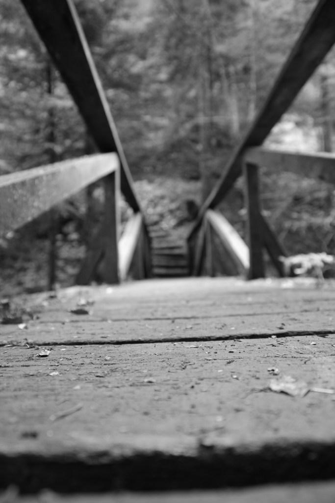 The gorges of Poëta-Raisse wooden bridge (1 of 1)