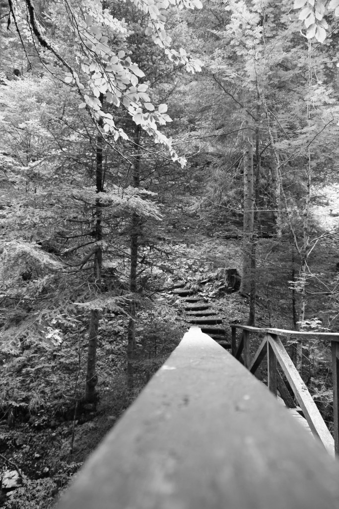 The gorges of Poëta-Raisse wooden bridge (2 of 1)