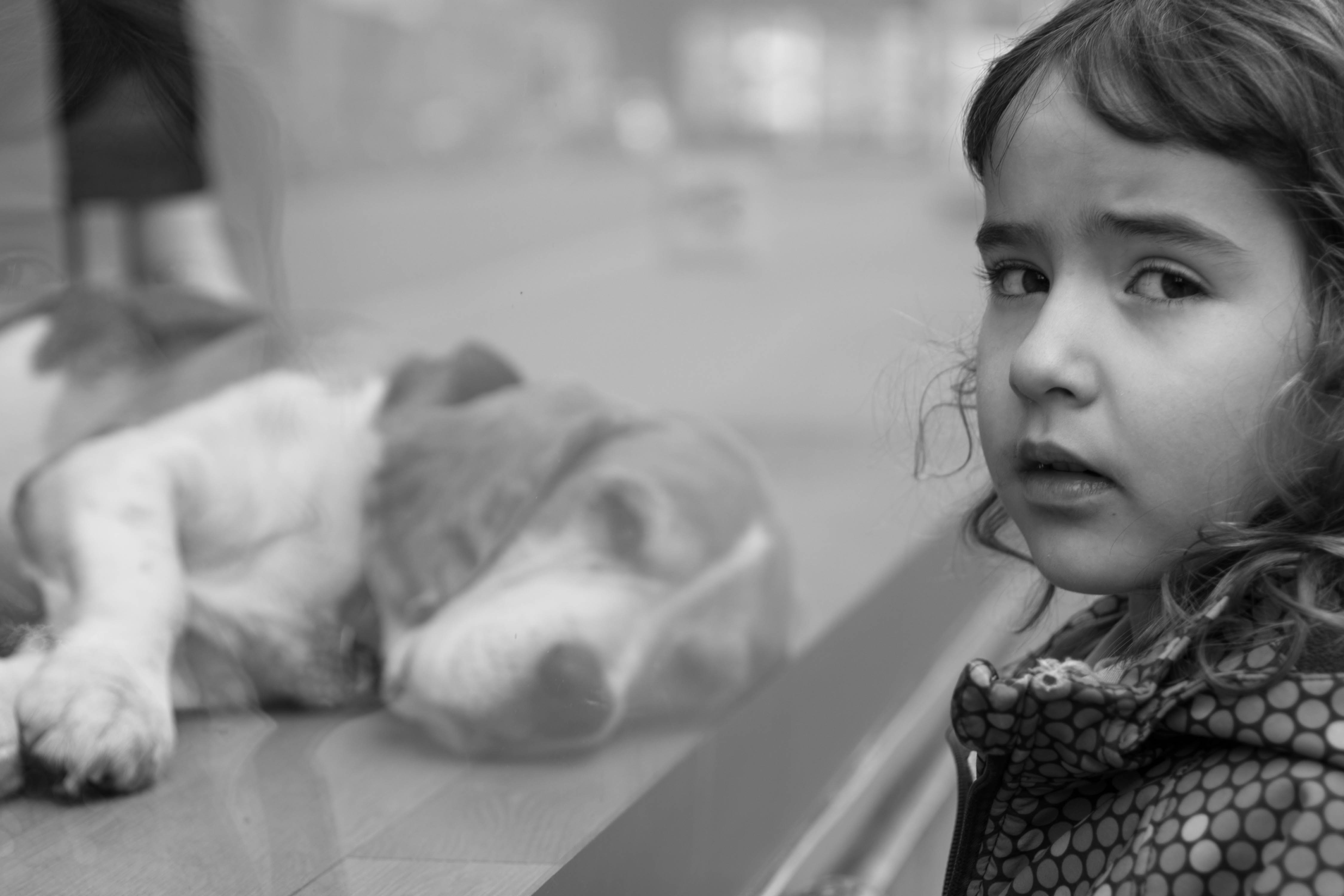 amaya looking at dog in storefront-3