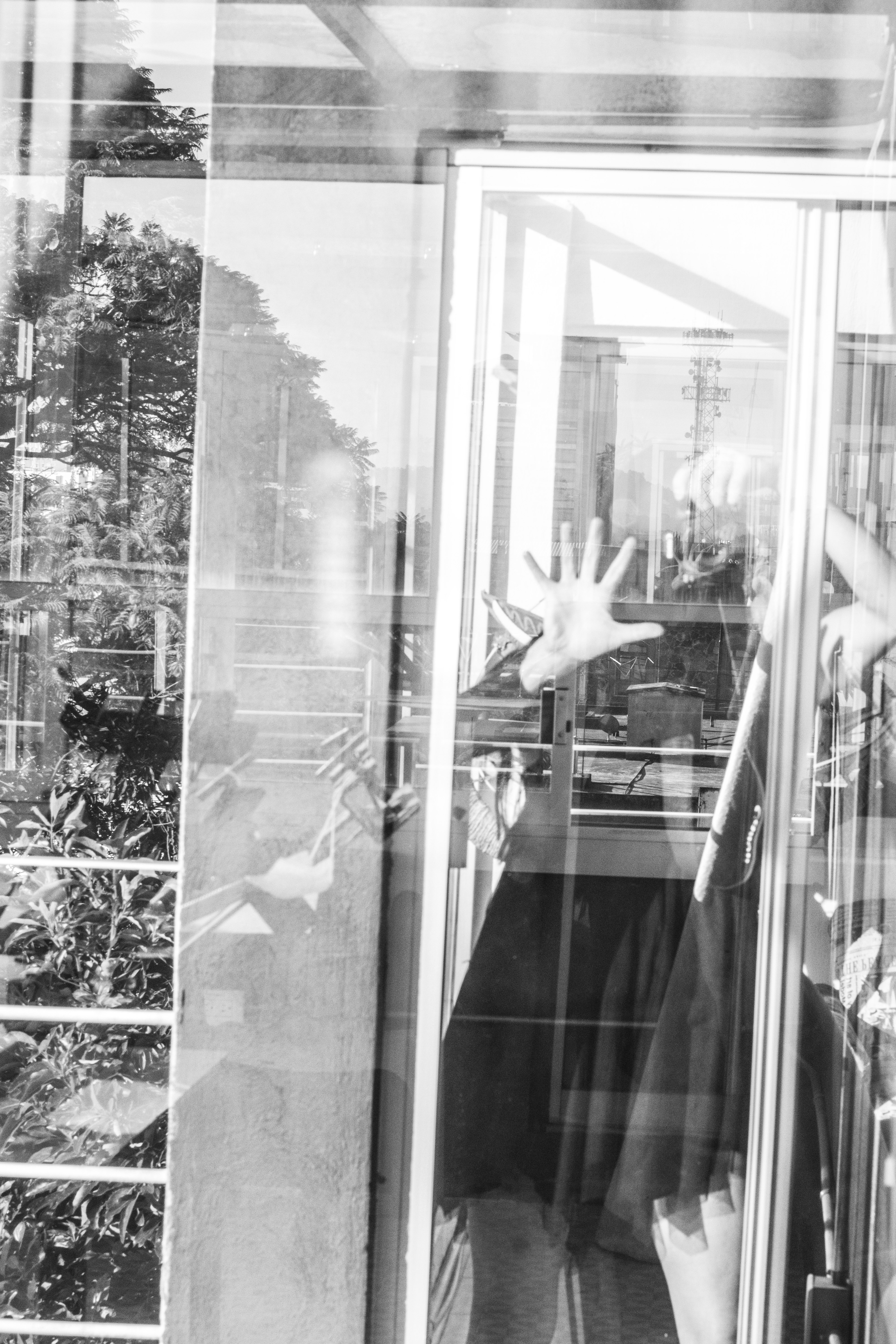 rooftop window transfers -1