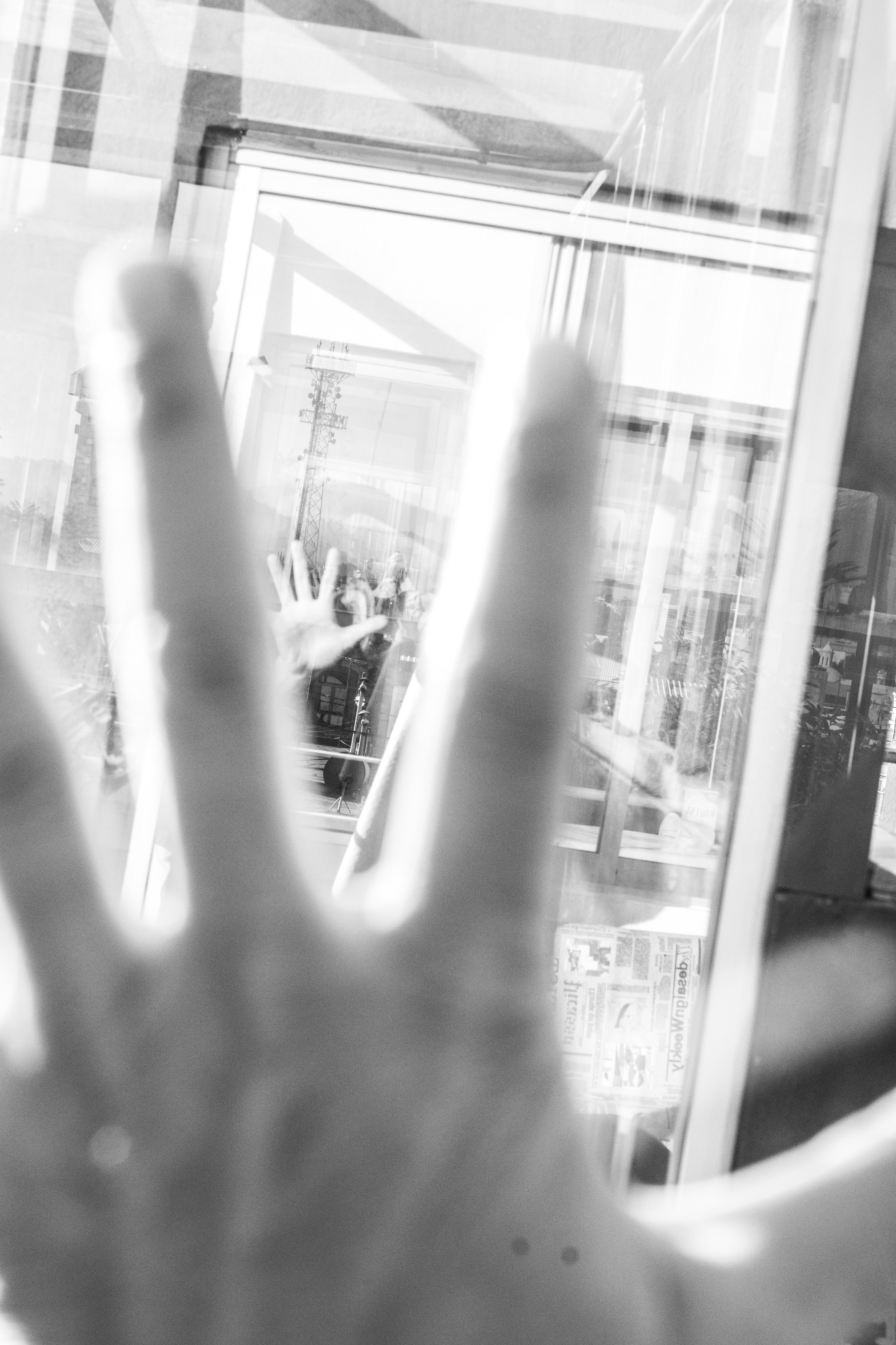 rooftop window transfers -5